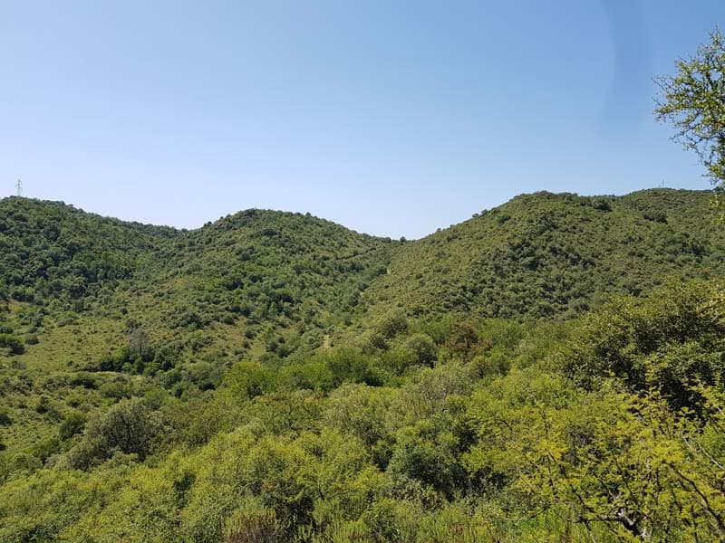 Córdoba, Los Molinos, 22 Hectáreas sobre Ruta 5 frente al lago Los Molinos foto 8