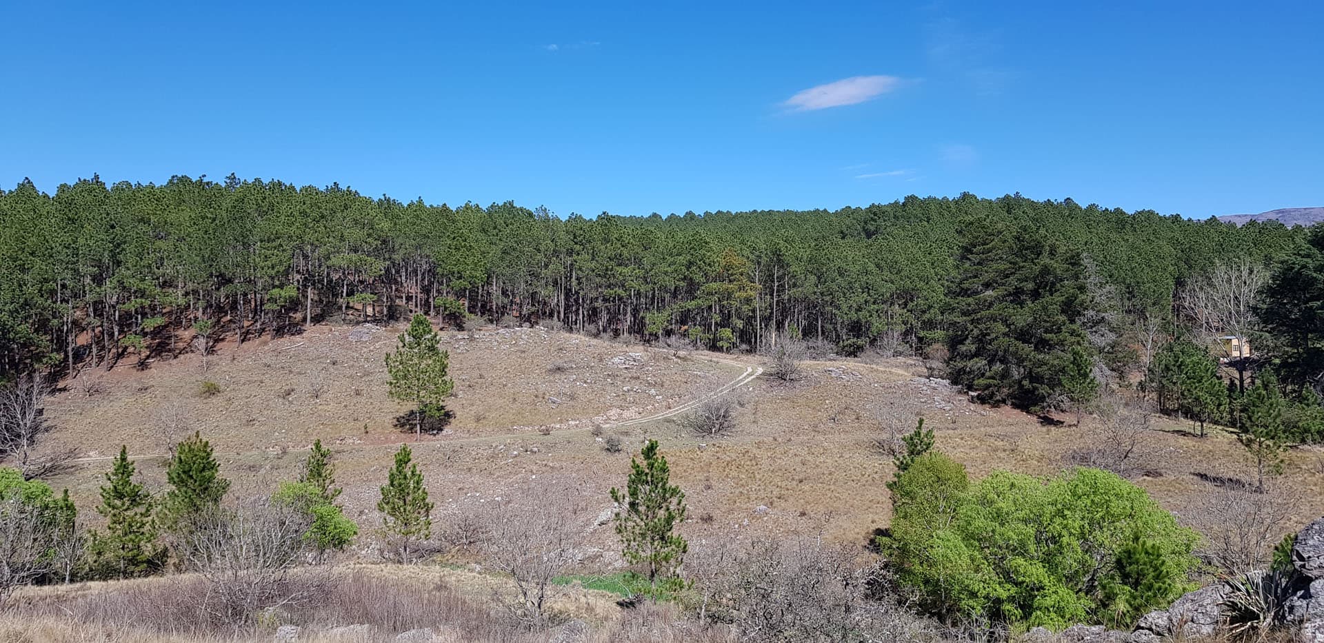 Córdoba, San Clemente, Fracciones de 1 Hectárea foto 12