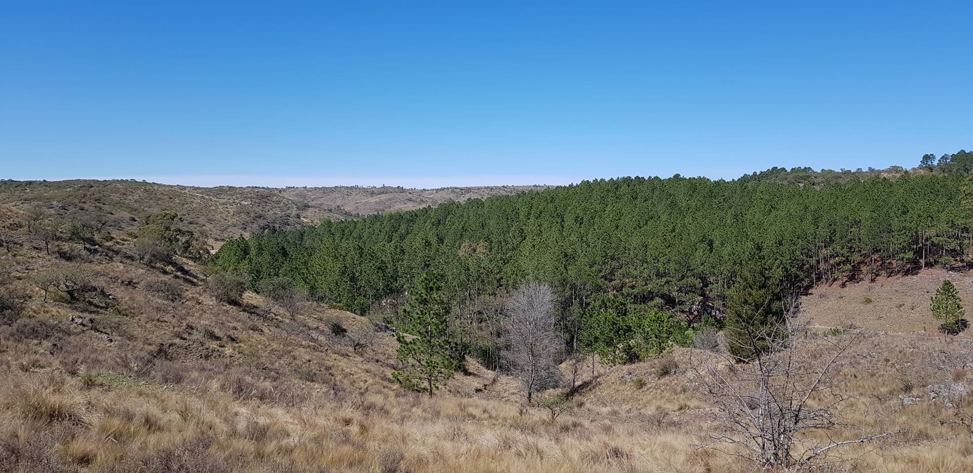Córdoba, San Clemente, Fracciones de 1 Hectárea foto 14
