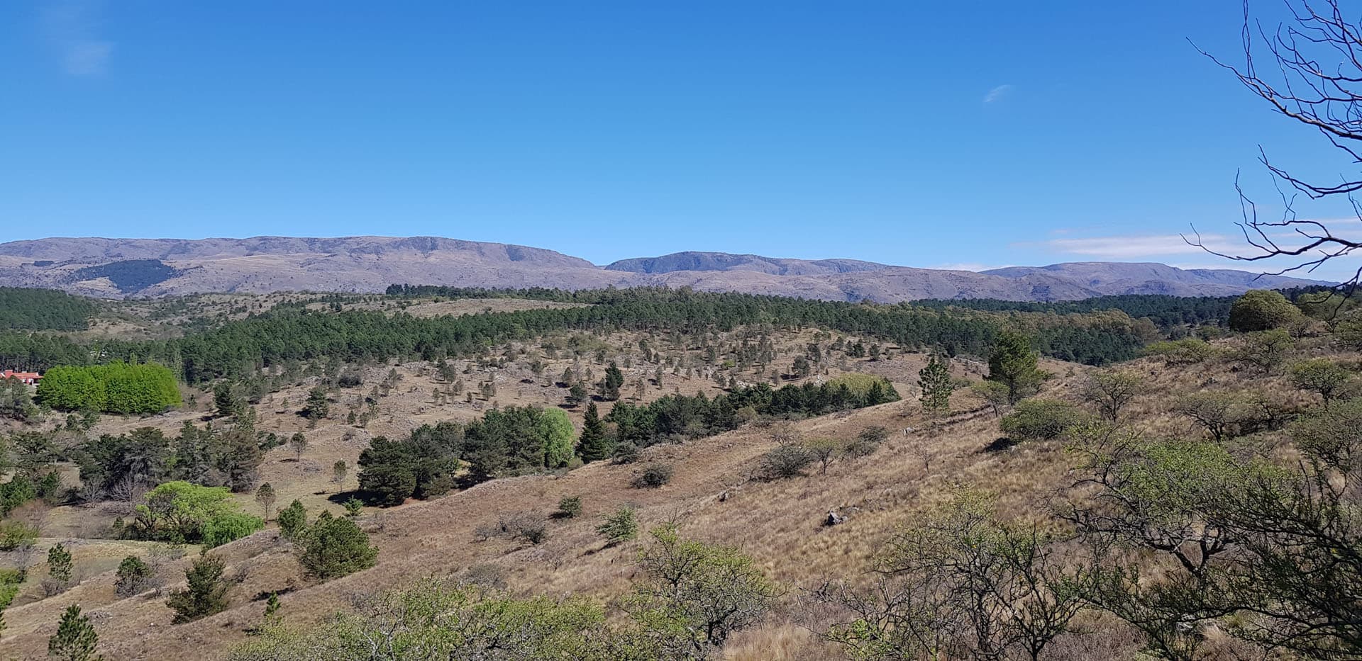 Córdoba, San Clemente, Fracciones de 1 Hectárea foto 15