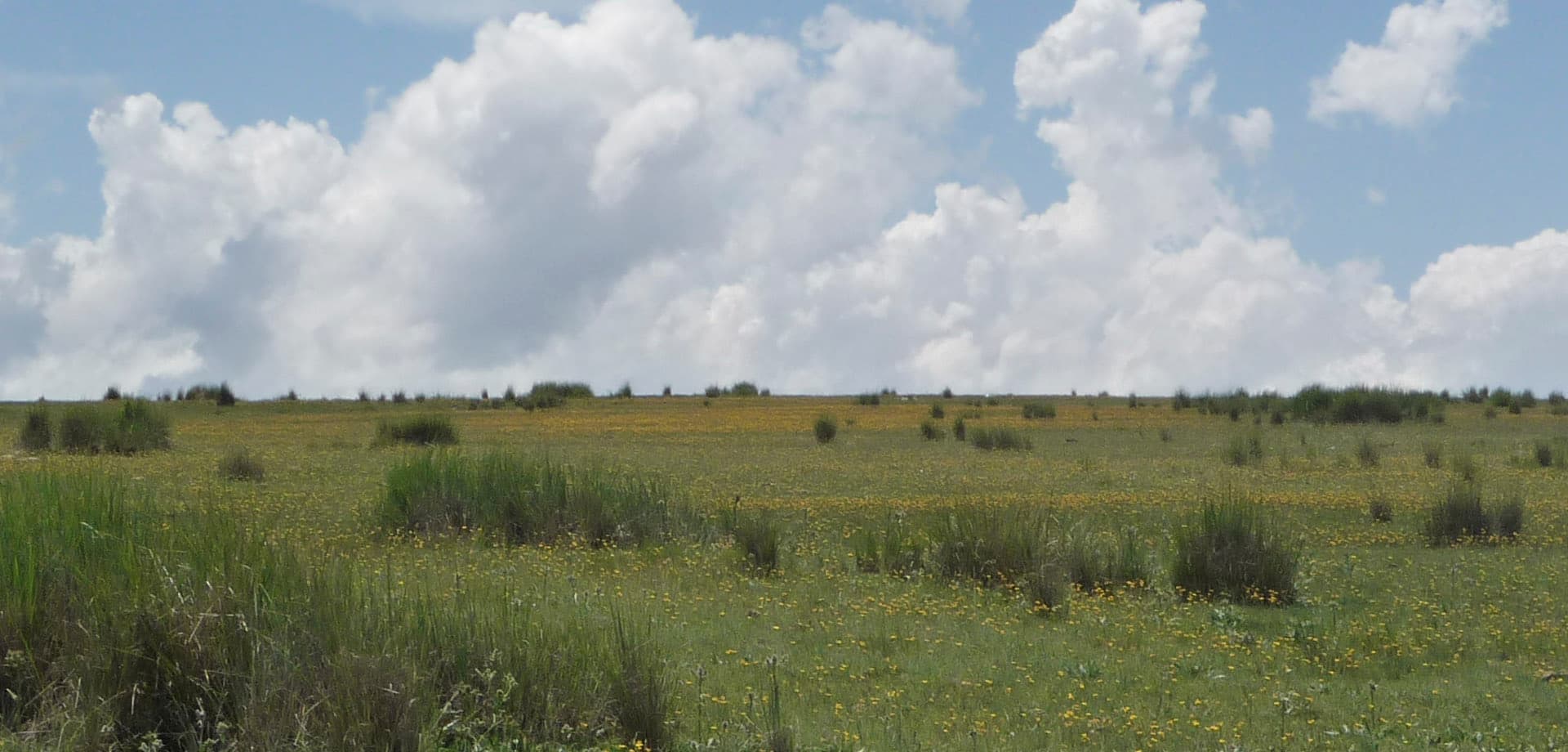 Córdoba, Los Gigantes, Campo de 1250 Hectáreas