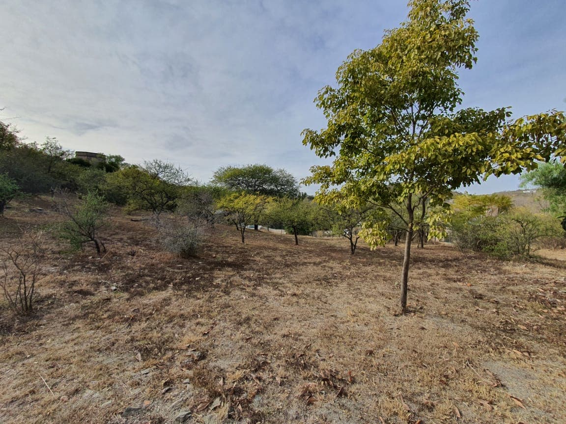 Córdoba, La Serranita, Lote de 4.745m2 a 85 mts. del Asfalto foto 8