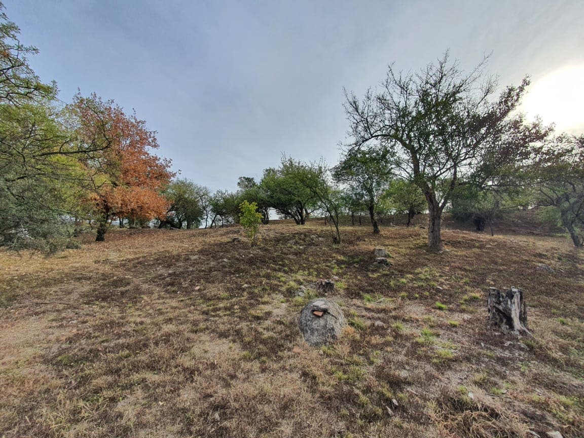 Córdoba, La Serranita, Lote de 4.745m2 a 85 mts. del Asfalto foto 14