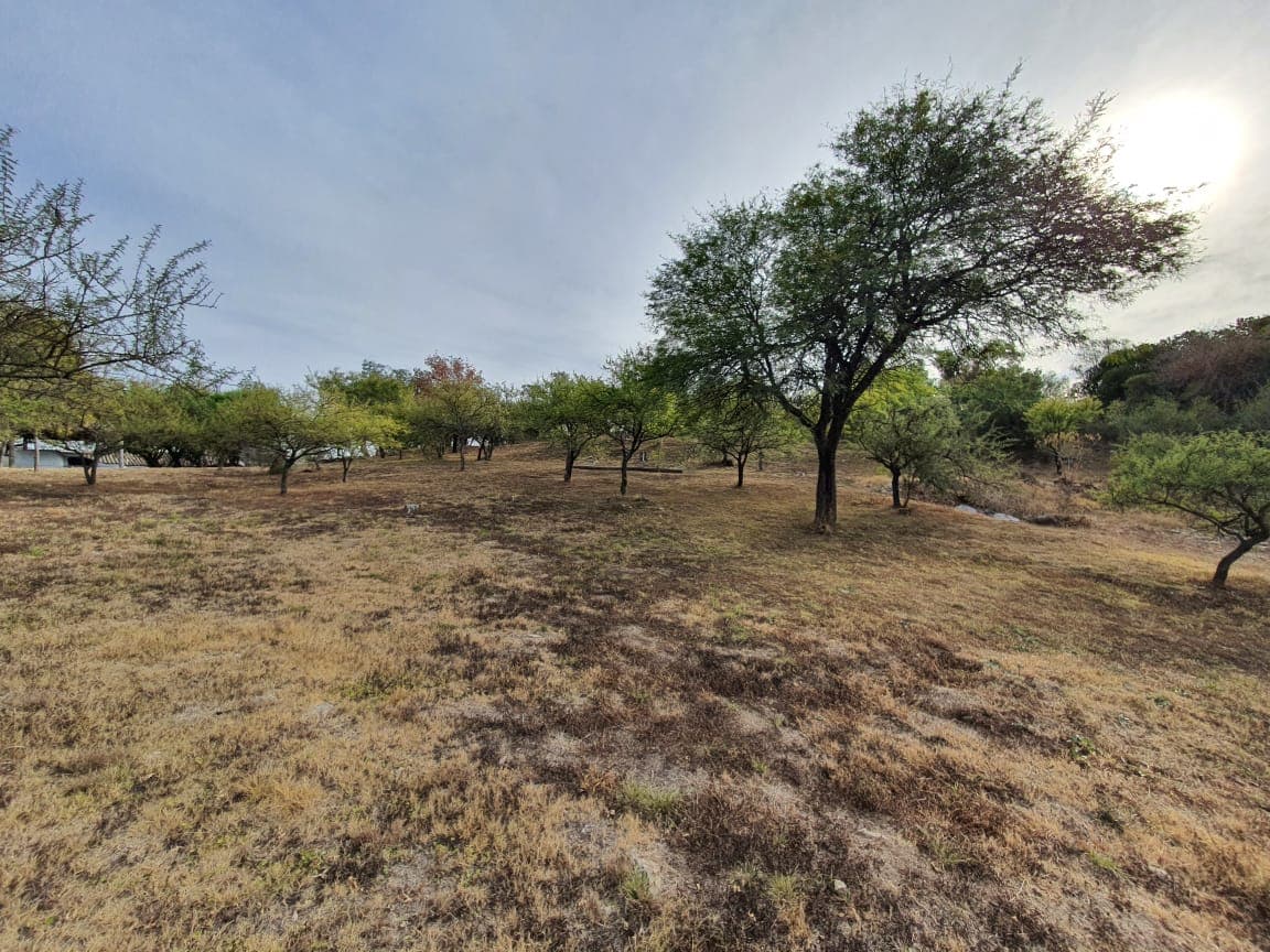 Córdoba, La Serranita, Lote de 4.745m2 a 85 mts. del Asfalto foto 12