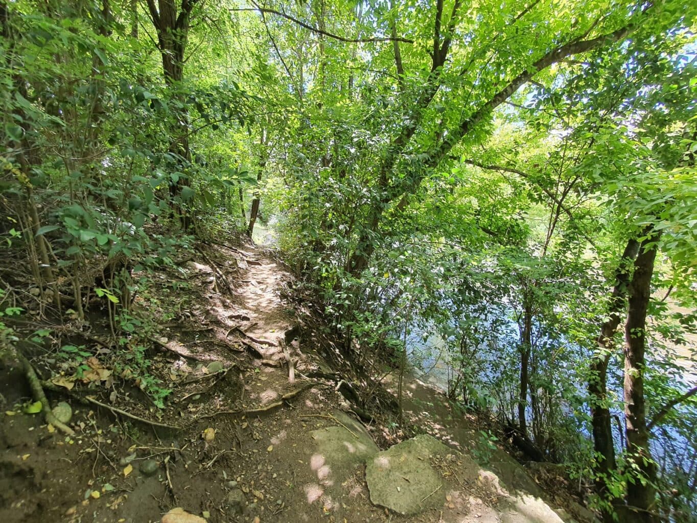 La Bolsa, Av. Los Aromos, Se vende hermoso lote de 1000 con bajada privada al Rio Anisacate foto 11